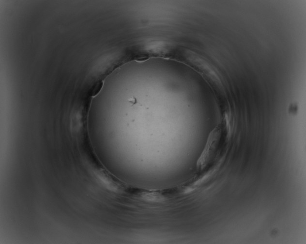 X0000101960424200807181045