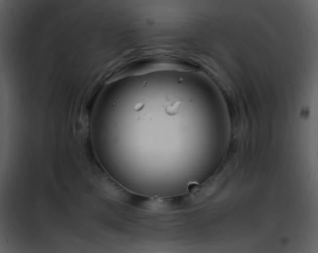 X0000101960425200807181045
