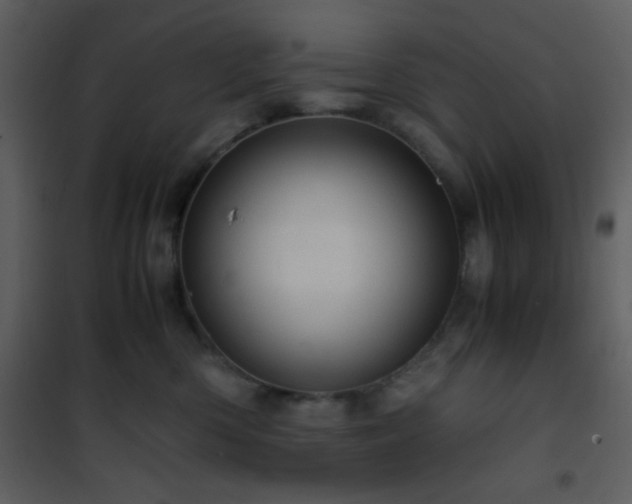 X0000101960426200807181045