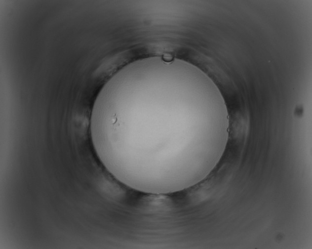 X0000101960427200807181045