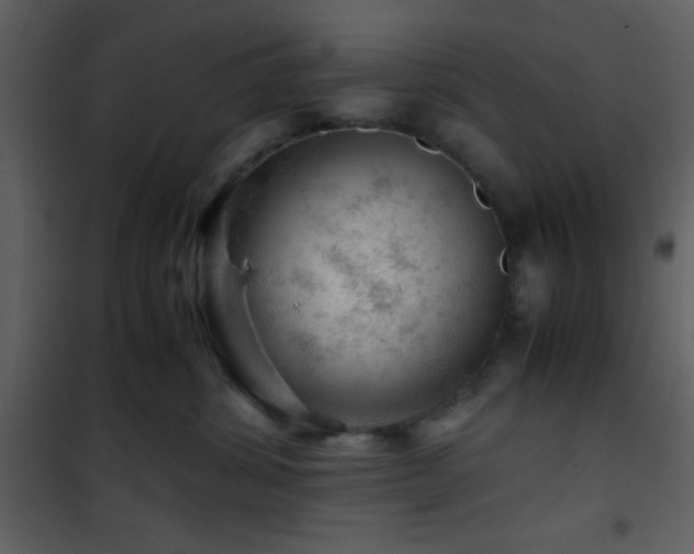 X0000101960428200807181045