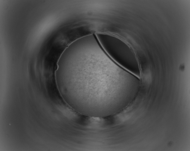 X0000101960429200807181045