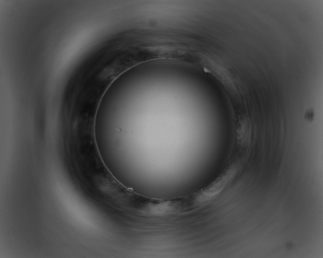 X0000101960430200807181045