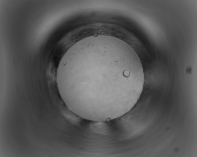 X0000101960431200807181045