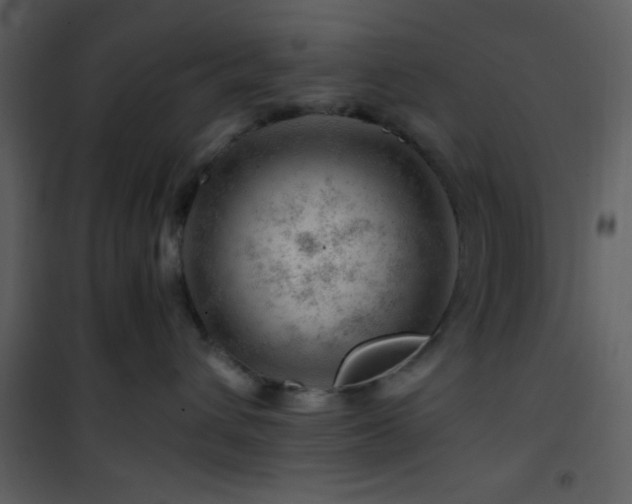 X0000101960432200807181045