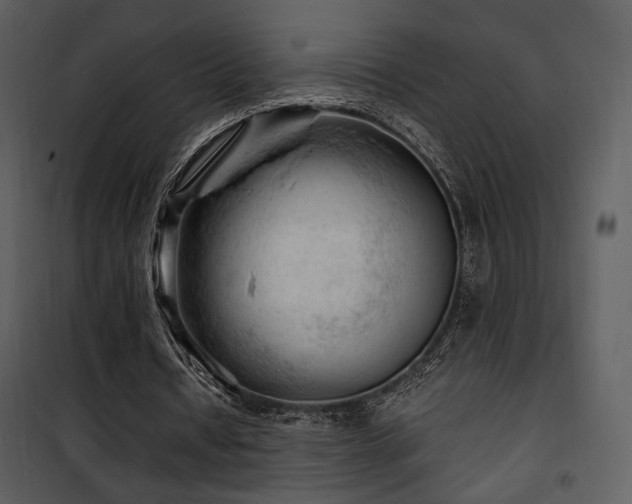 X0000101960434200807181044