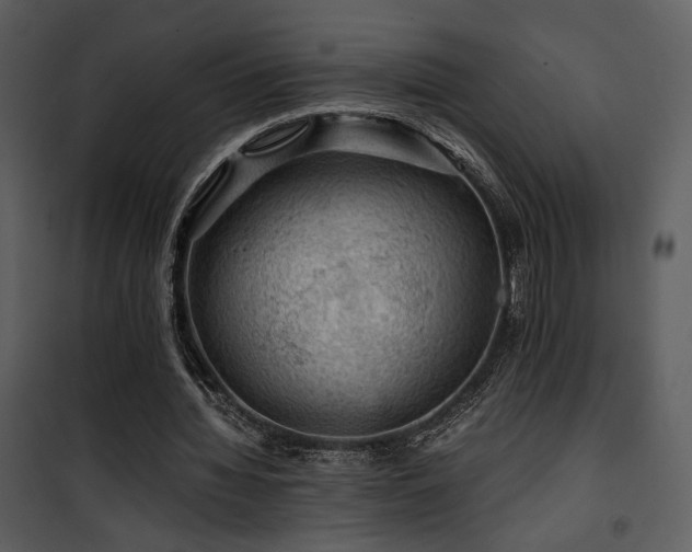X0000101960436200807181044