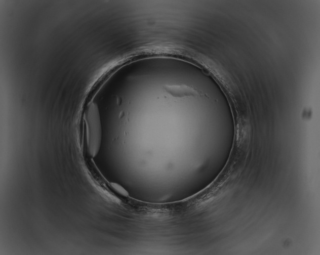 X0000101960438200807181044