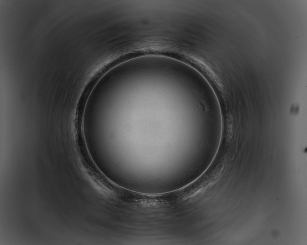 X0000101960439200807181044