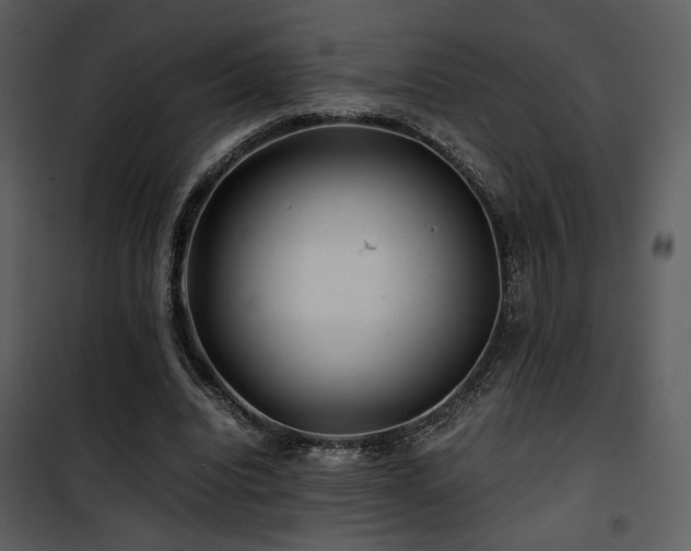 X0000101960440200807181044