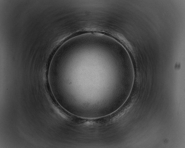 X0000101960441200807181044