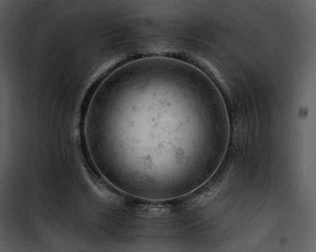 X0000101960443200807181044