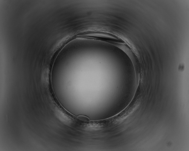 X0000101960445200807181044