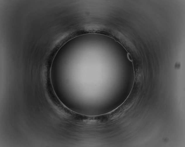 X0000101960448200807181044