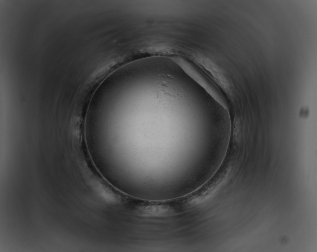 X0000101960449200807181044