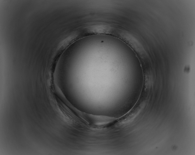 X0000101960453200807181044