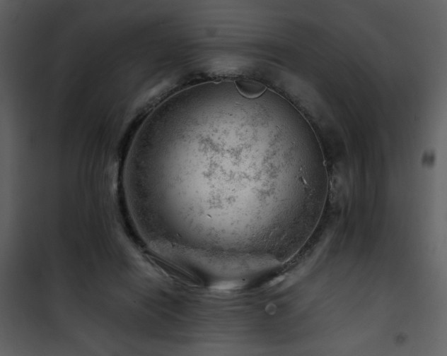 X0000101960454200807181044