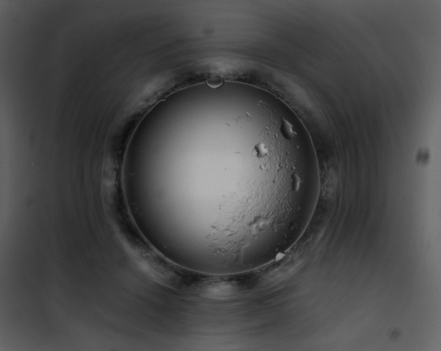 X0000101960456200807181045