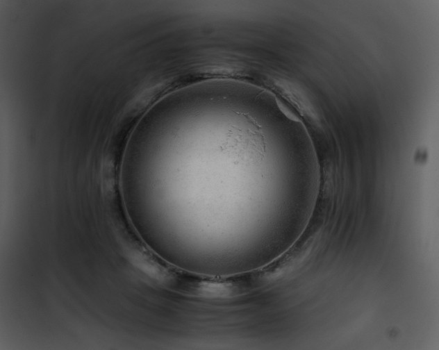 X0000101960457200807181045