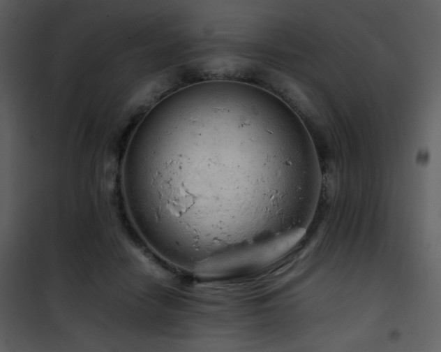 X0000101960458200807181045