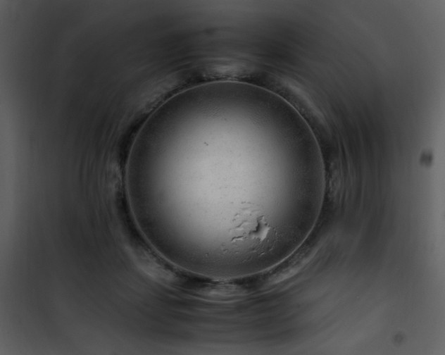 X0000101960459200807181045