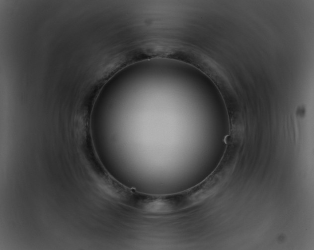 X0000101960460200807181045