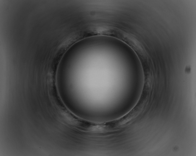 X0000101960461200807181045