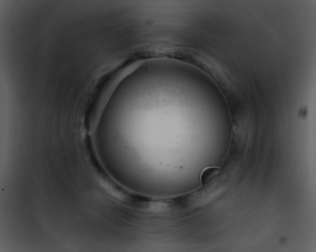 X0000101960462200807181045