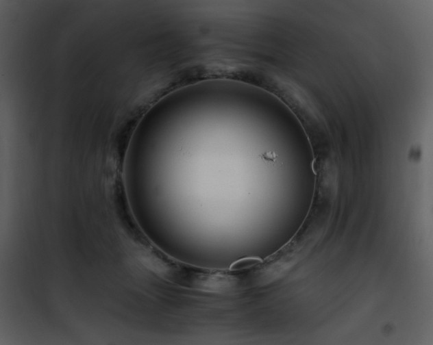 X0000101960463200807181045