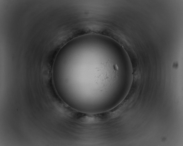 X0000101960464200807181045
