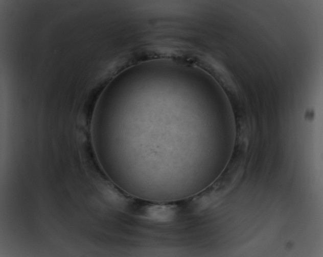 X0000101960465200807181045