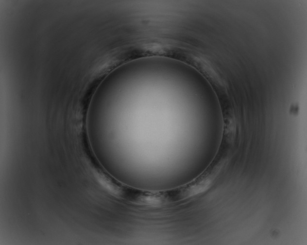 X0000101960466200807181045