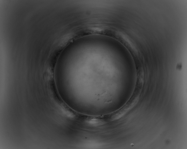 X0000101960467200807181045