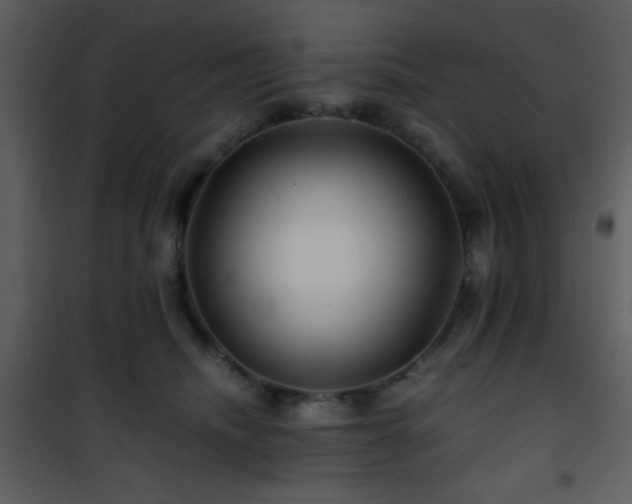 X0000101960468200807181045