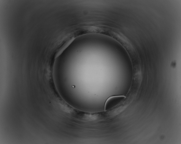 X0000101960469200807181045