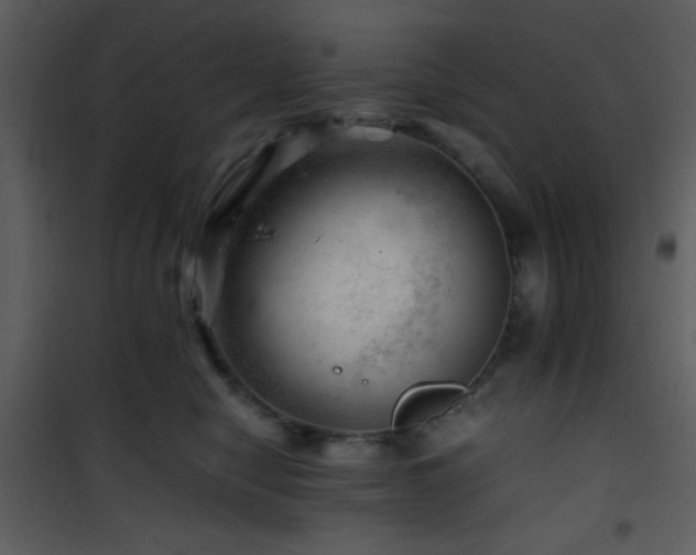 X0000101960470200807181045