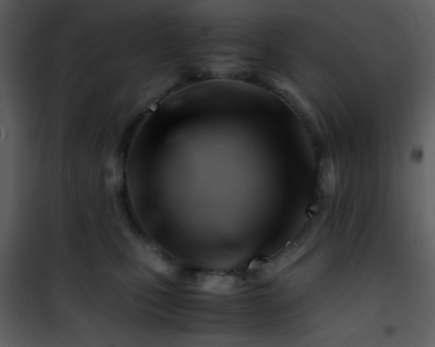 X0000101960471200807181045