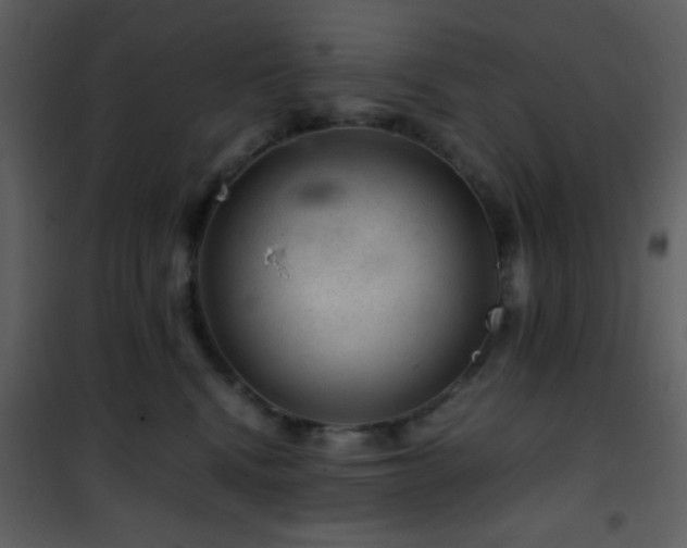 X0000101960472200807181045