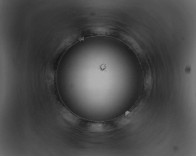 X0000101960473200807181045