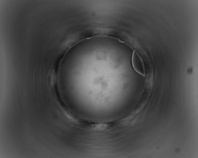 X0000101960474200807181045