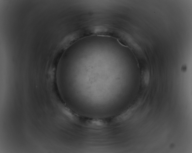 X0000101960475200807181045