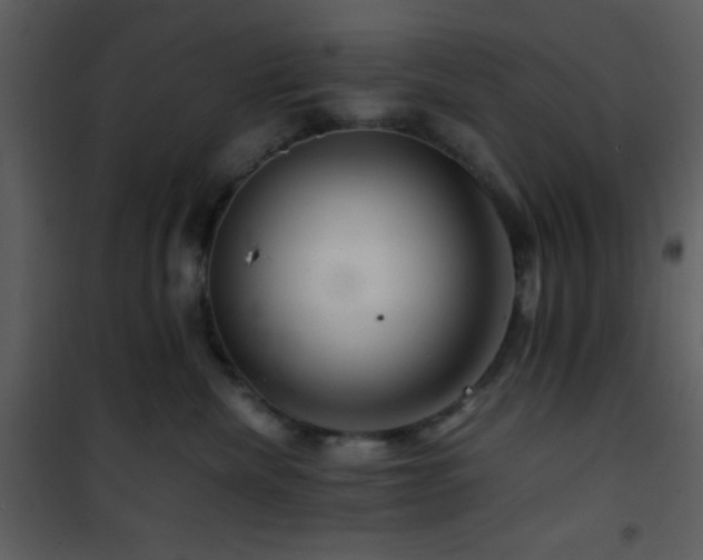 X0000101960476200807181045