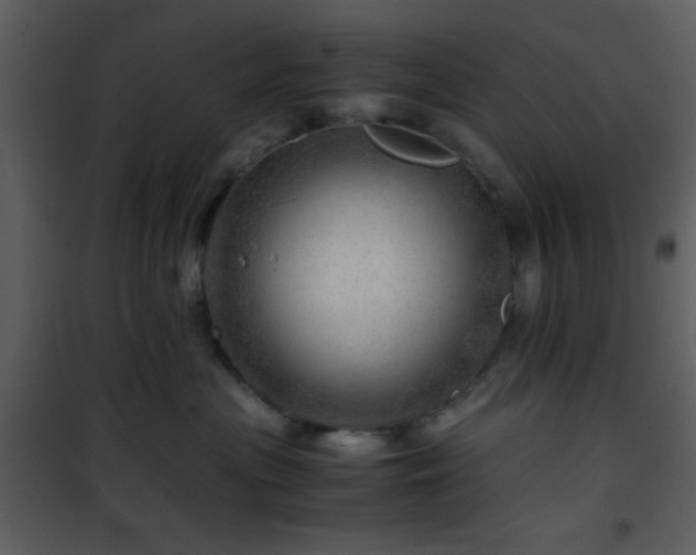 X0000101960477200807181045