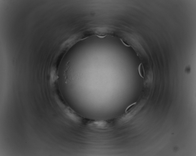 X0000101960478200807181045