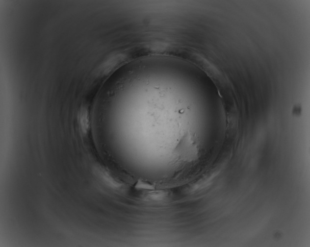 X0000101960479200807181045