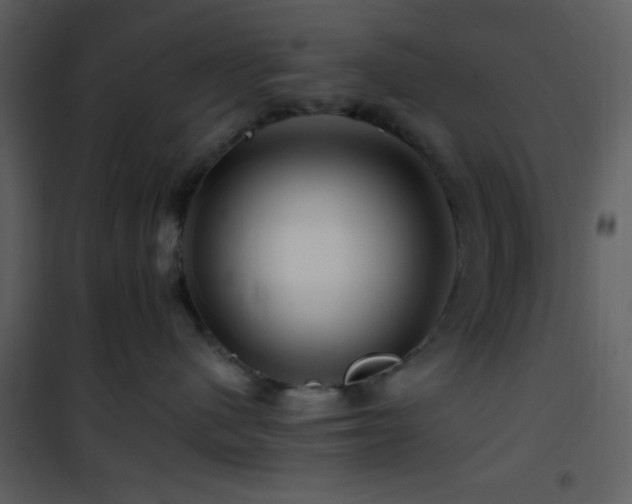 X0000101960480200807181045