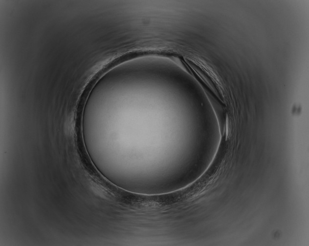 X0000101960483200807181044