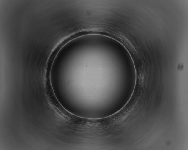 X0000101960484200807181044