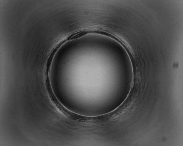X0000101960485200807181044