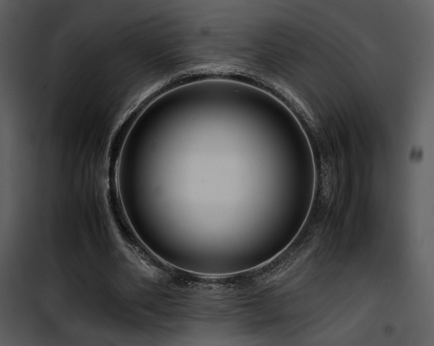 X0000101960486200807181044